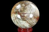 Colorful Petrified Wood Sphere - Madagascar #92999-1